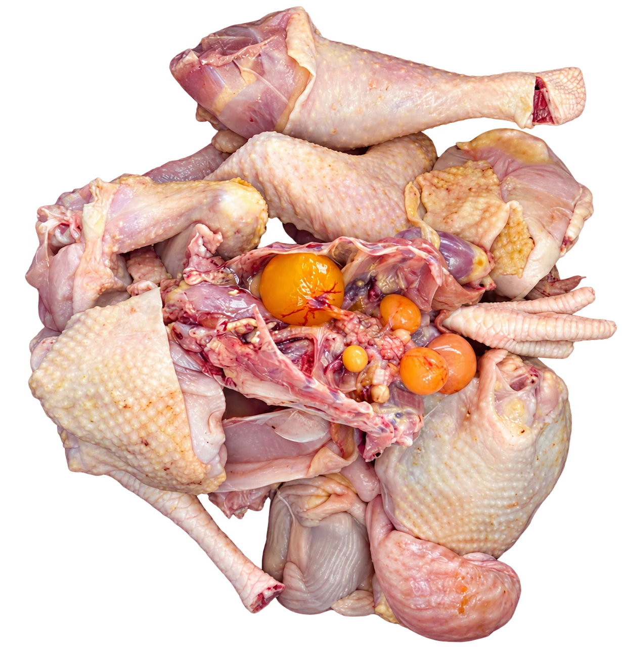 Local fresh chicken